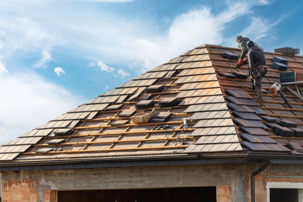 Best Asphalt Shingle Roofing  in Loughman, FL